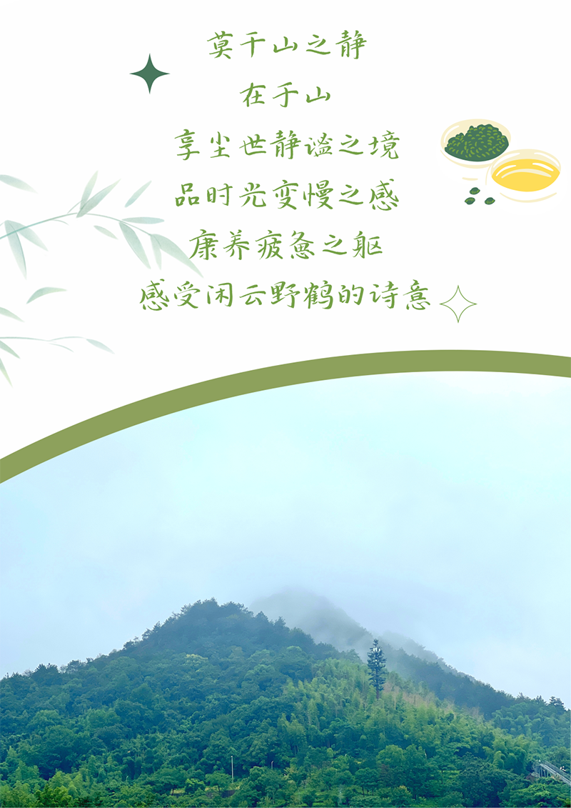 心心念廿 相伴ag博天堂 | 与德清相约 贺廿载诞辰