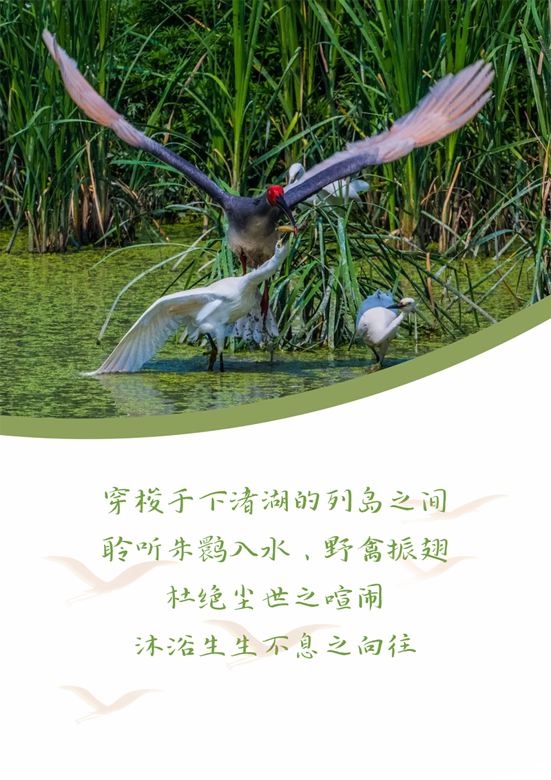 心心念廿 相伴ag博天堂 | 与德清相约 贺廿载诞辰